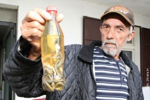 Rakija Poskokusa.jpg